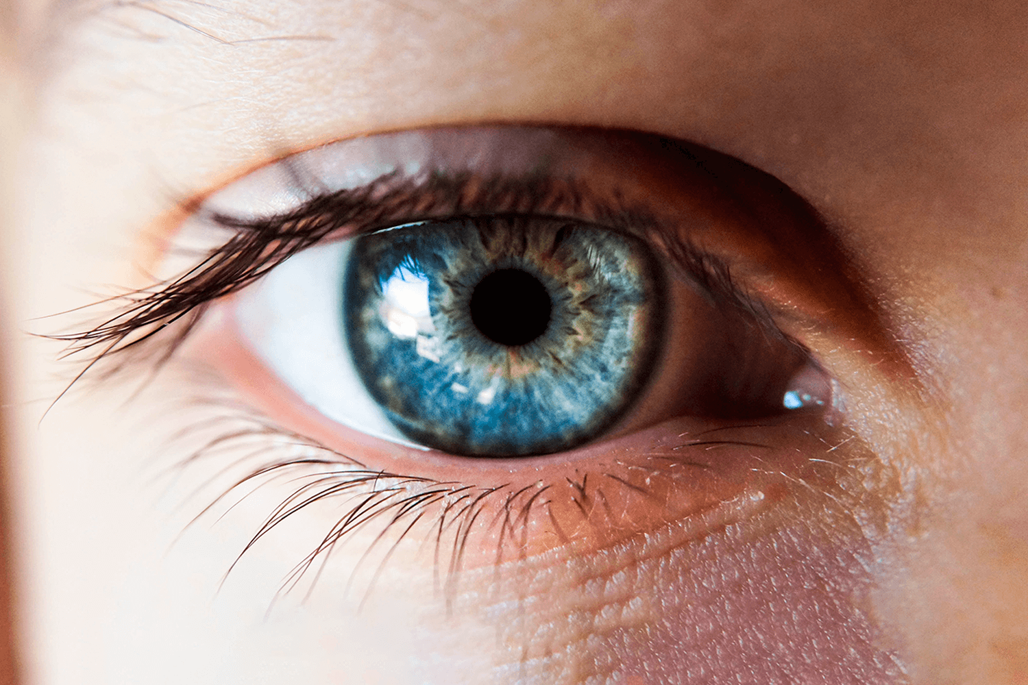 modkalea-jerielle-fuBj4vkp4-g-unsplash (1)